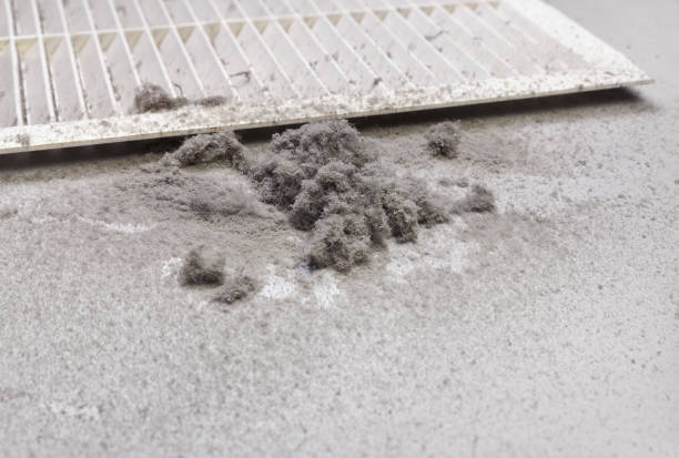 Best Best Air Duct Cleaning Company  in Sauk Rapids, MN