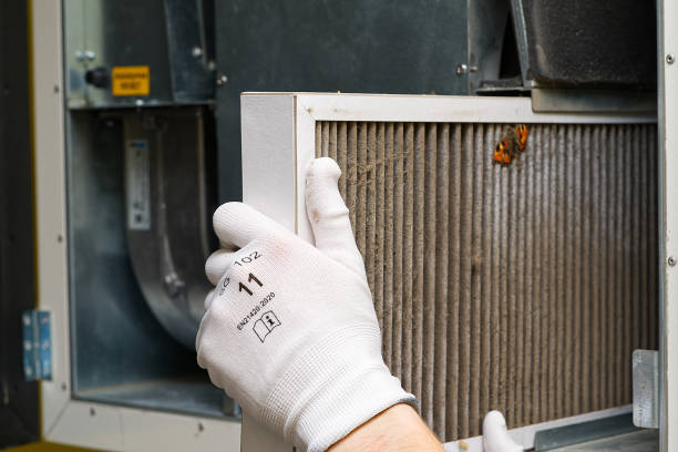 Best Affordable Duct Cleaning Services  in Sauk Rapids, MN